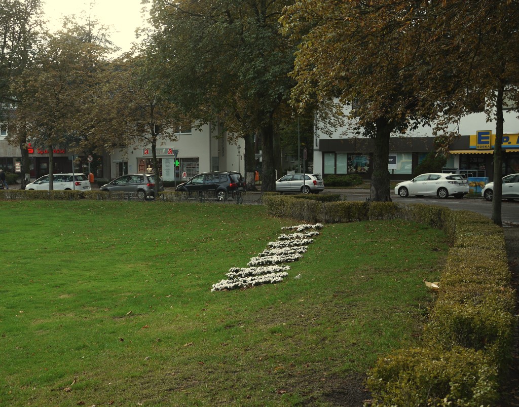 P1180011_klein